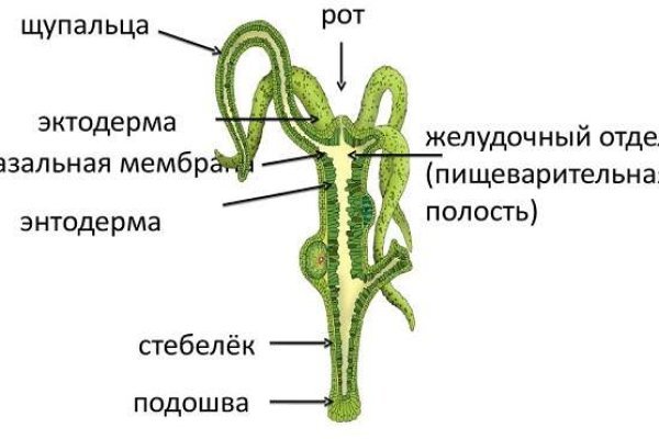 Мега маркетплейс даркнет