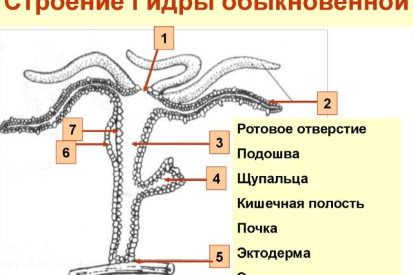 Рабочая ссылка кракена