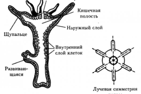 Как отправлять фото на мегу с айфона