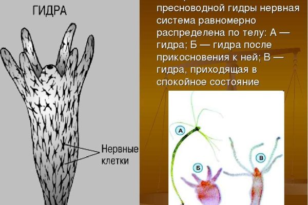 Сколько стоит мефедрон